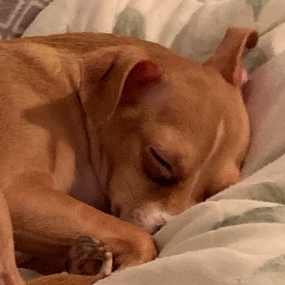 Meet your Posher, Natalie